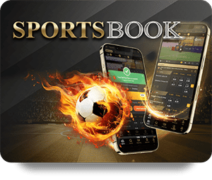 33WIN Uy Tín VN cập nhật tỷ lệ cược chính xác nhất hôm nay